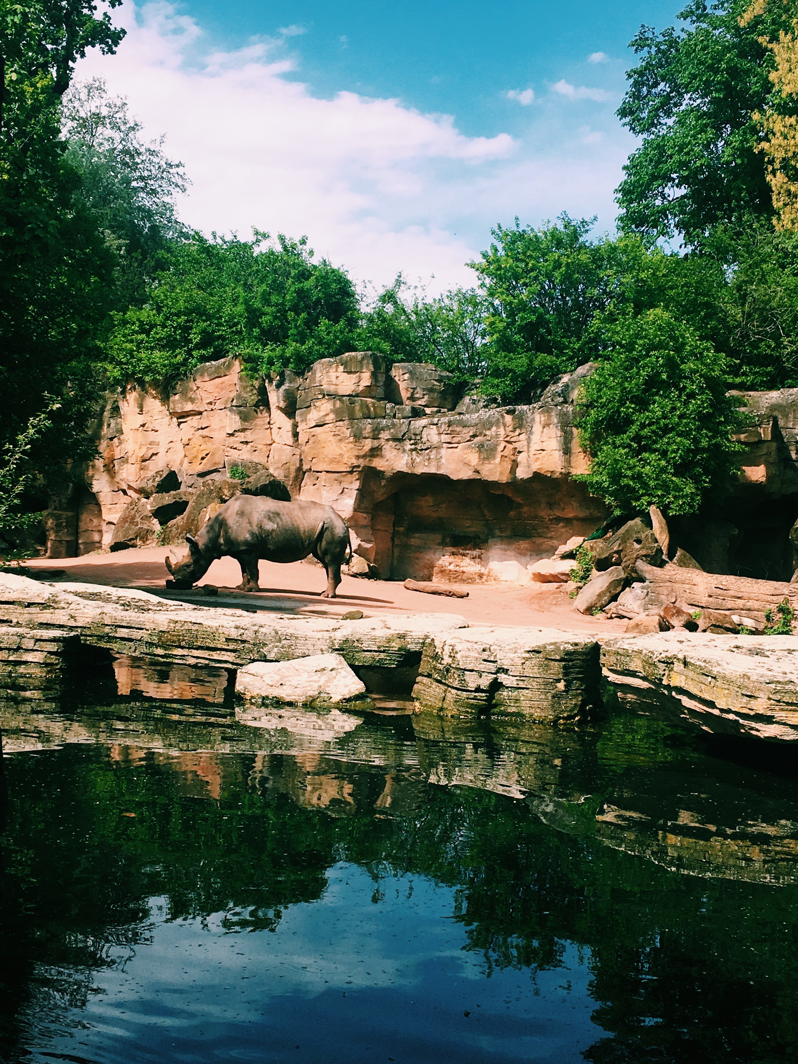 Photo of Safari Train